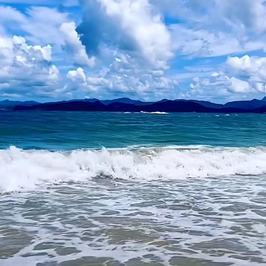 落樱听雨(◍•ᴗ•◍)❤