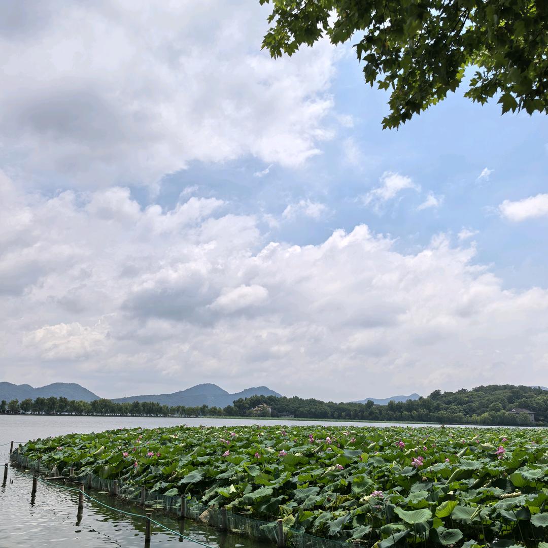 追梦人天天向上