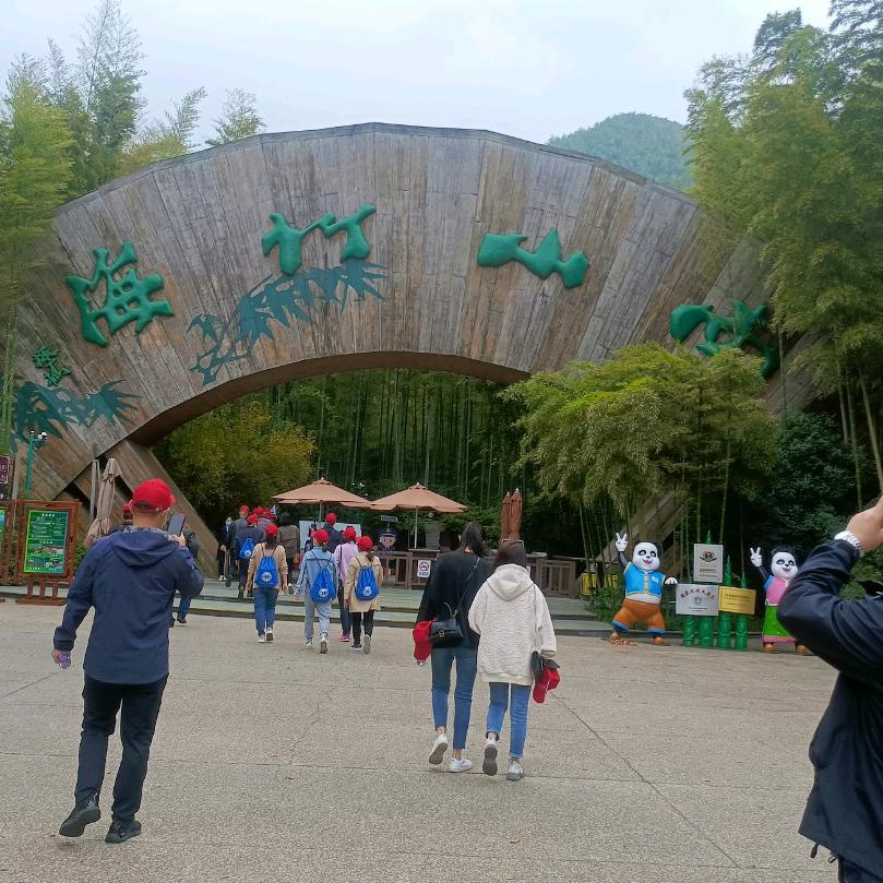 爱尚秋天的枫叶