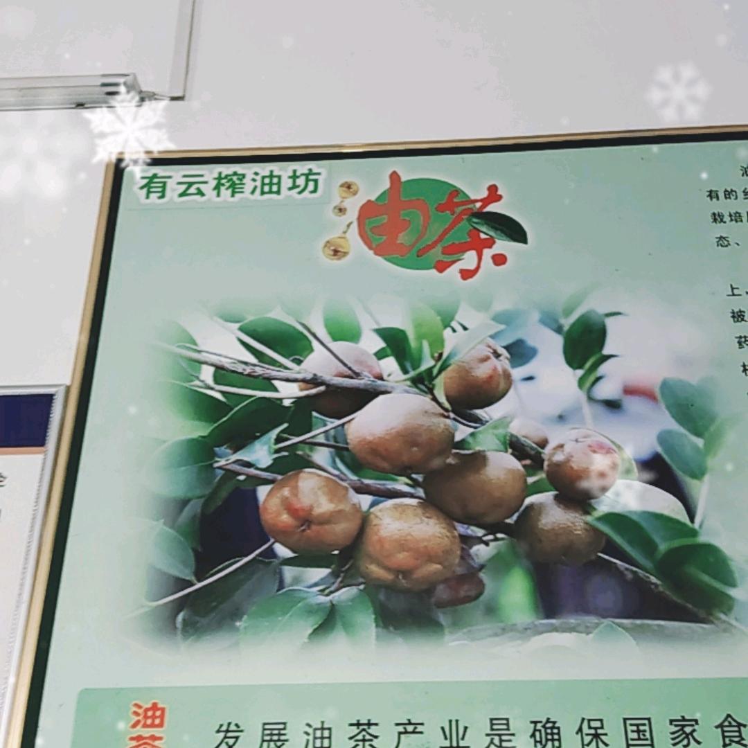 攸县皇图岭有云榨油坊