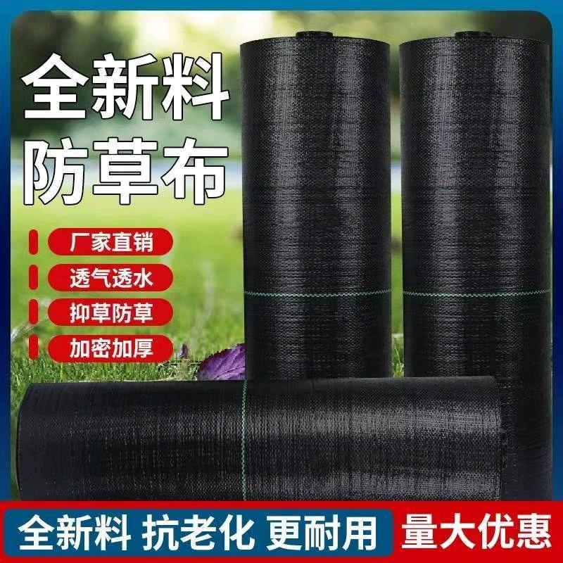 防草布地钉厂家直销