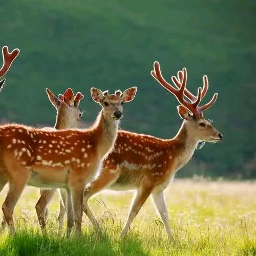 拿你有的，换你要的