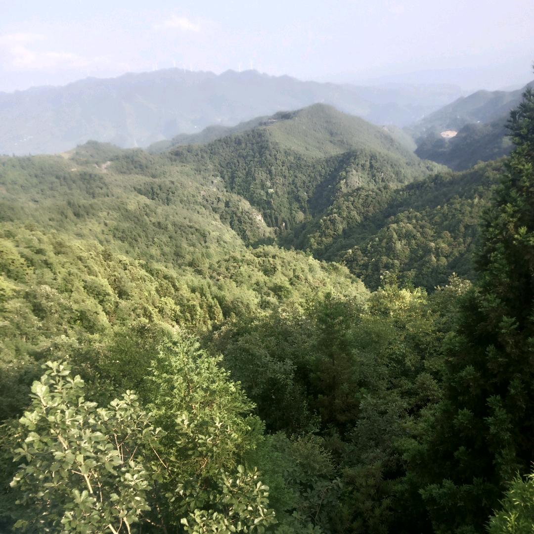 谁懂我心