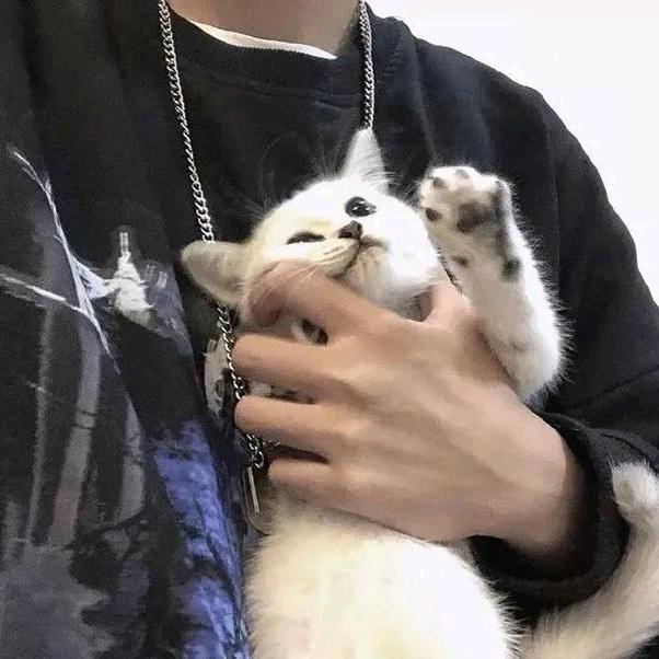 听雨の夜💋💋💋