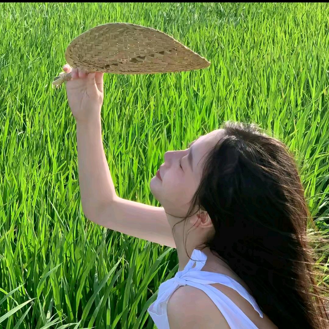 阿芳说农资（厂家直销）