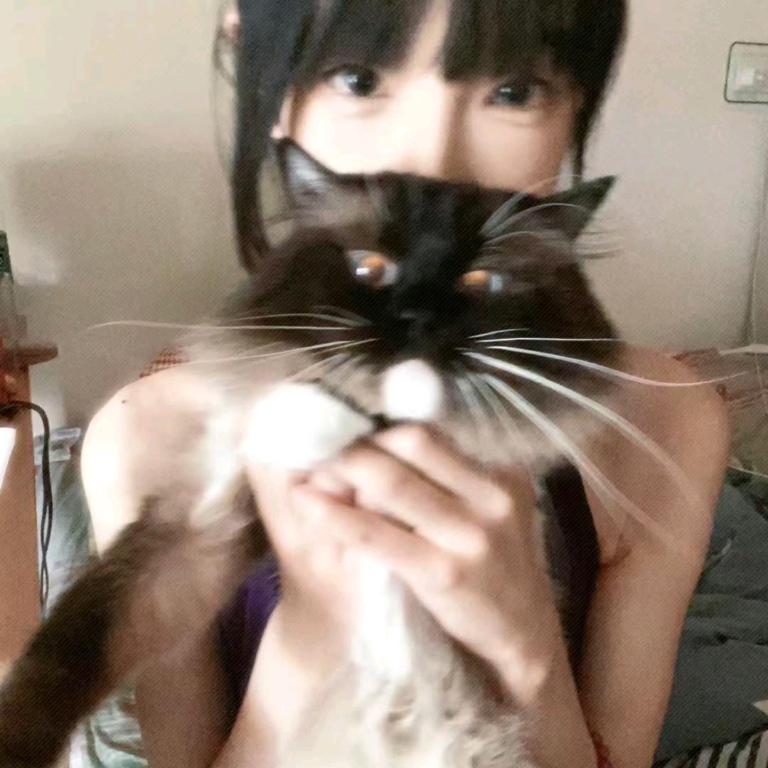 小艺大王