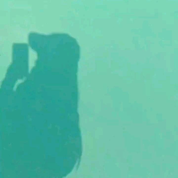 恋儿