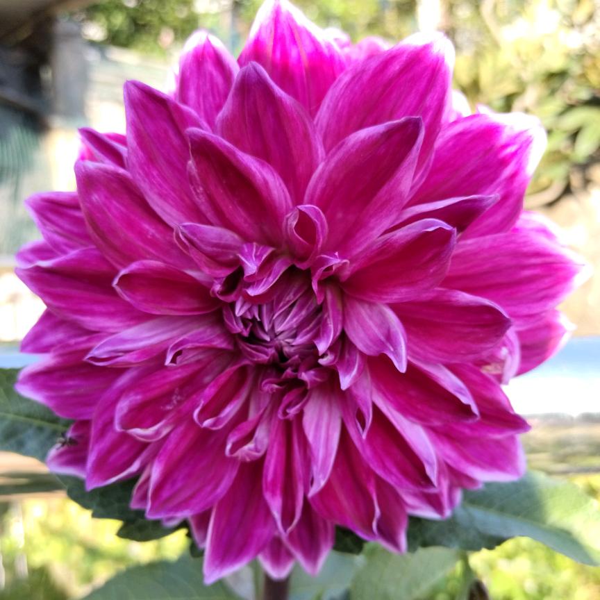 涛哥山野美食记