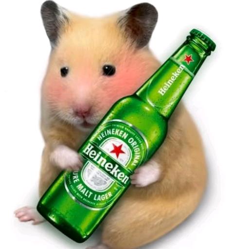 一瓶啤酒喝通宵