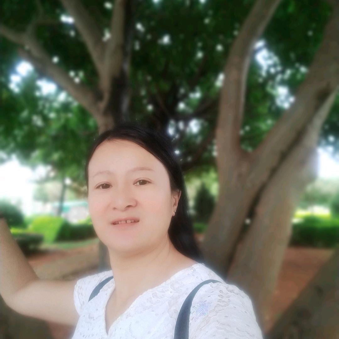 暖心向阳