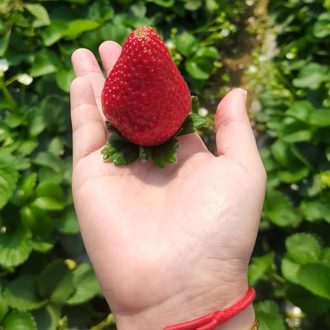 ડꪊꪕ໌້ᮨꦿ๑҉