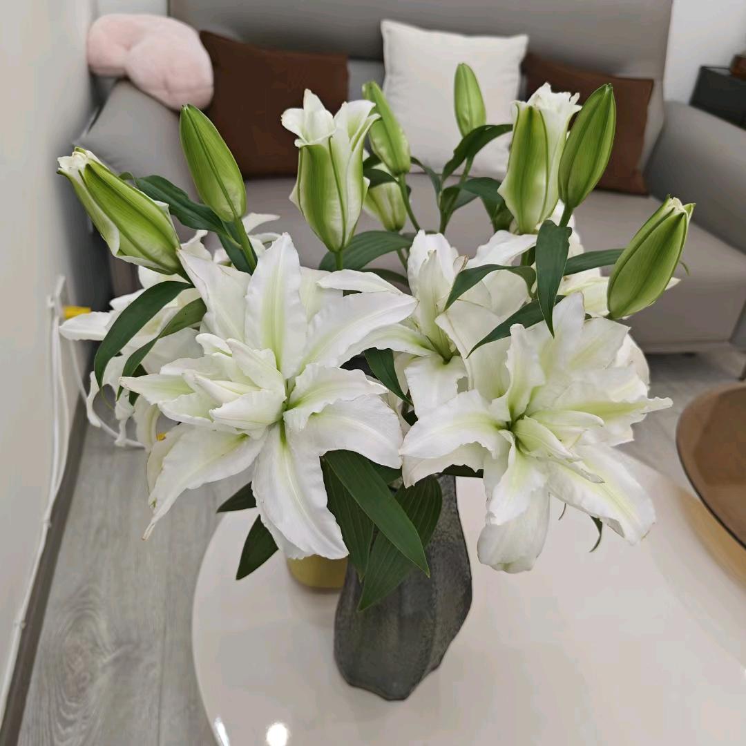 昆明好皮肤菲姐