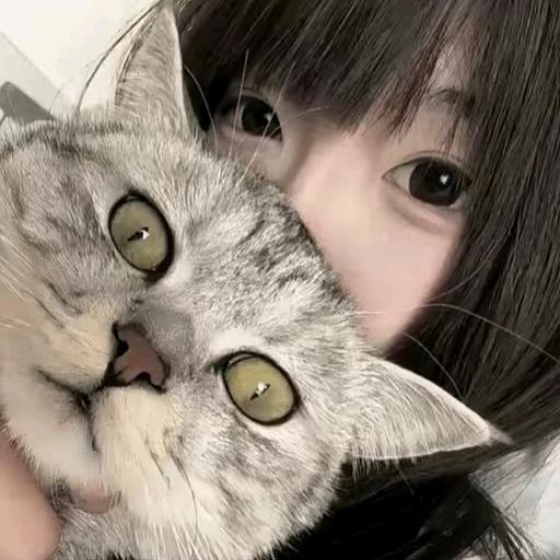 ᳐小᳐ 不 点᳐᳐੭