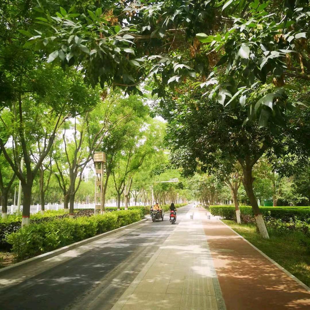 ☘️阿水🌿