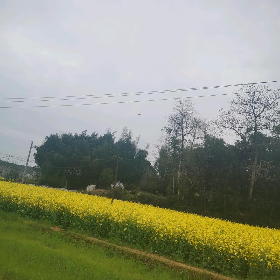 红门院落