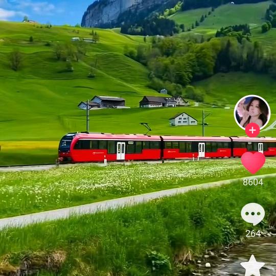 彬🚿 彬  🈶 礼