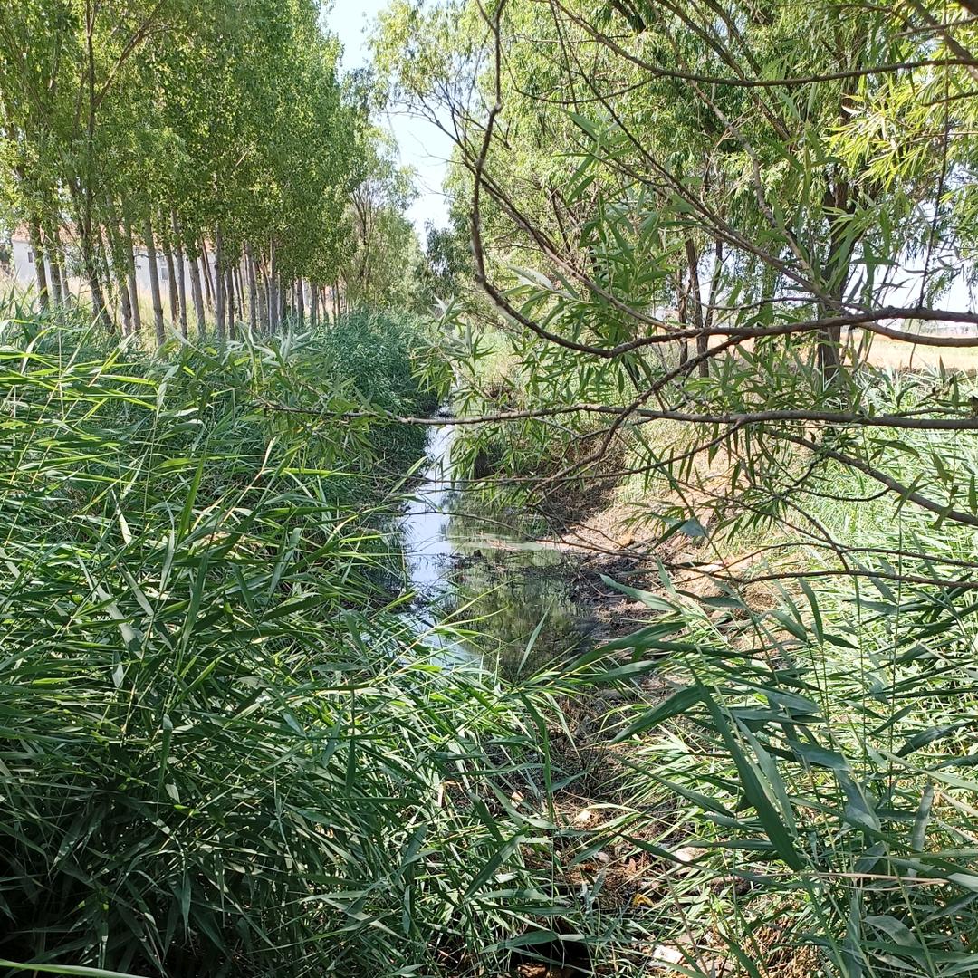 骑驴上高速