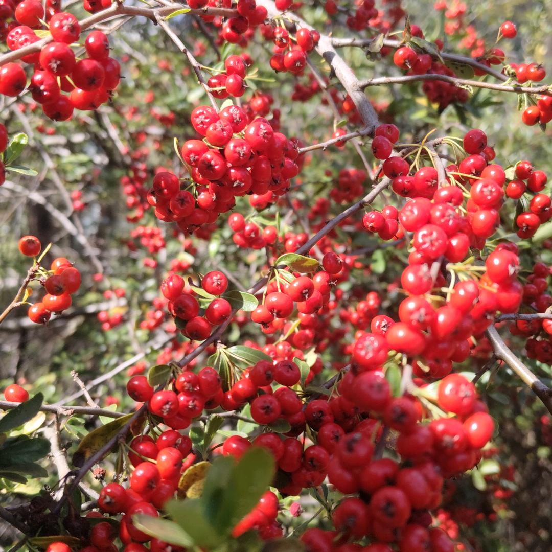 刀剑笑🏔🔪🗡