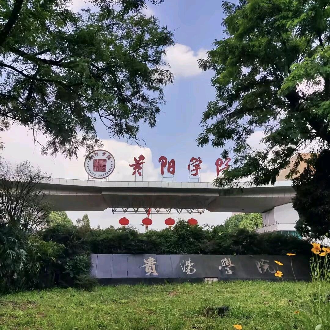 贵阳学院洋芋学长