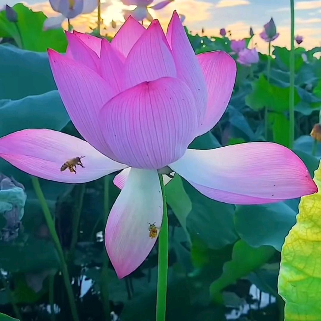 天上下雨地不湿。