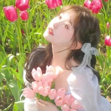 芝恩