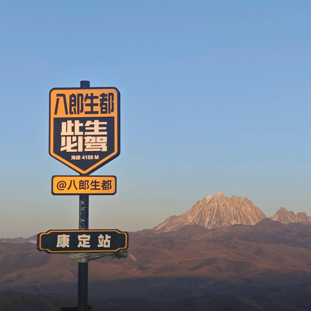 梓