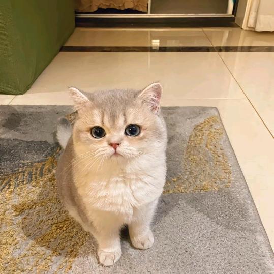 @十三页