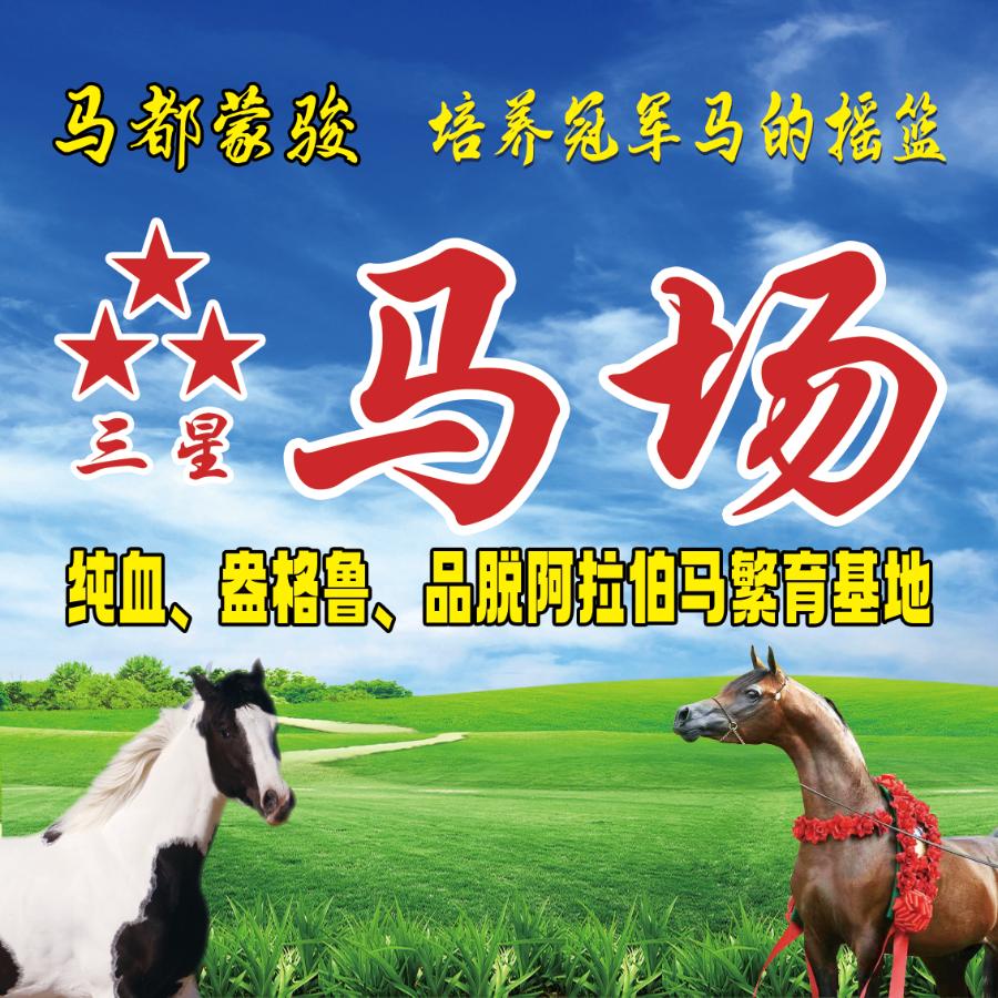 马都小李
