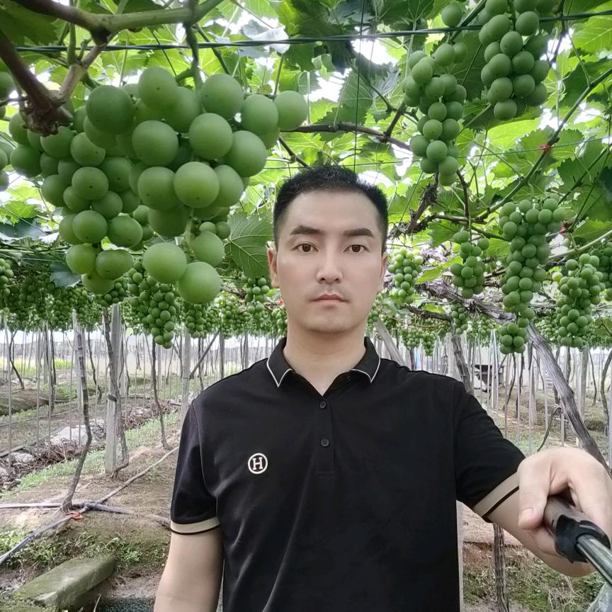 同城果业产地直销