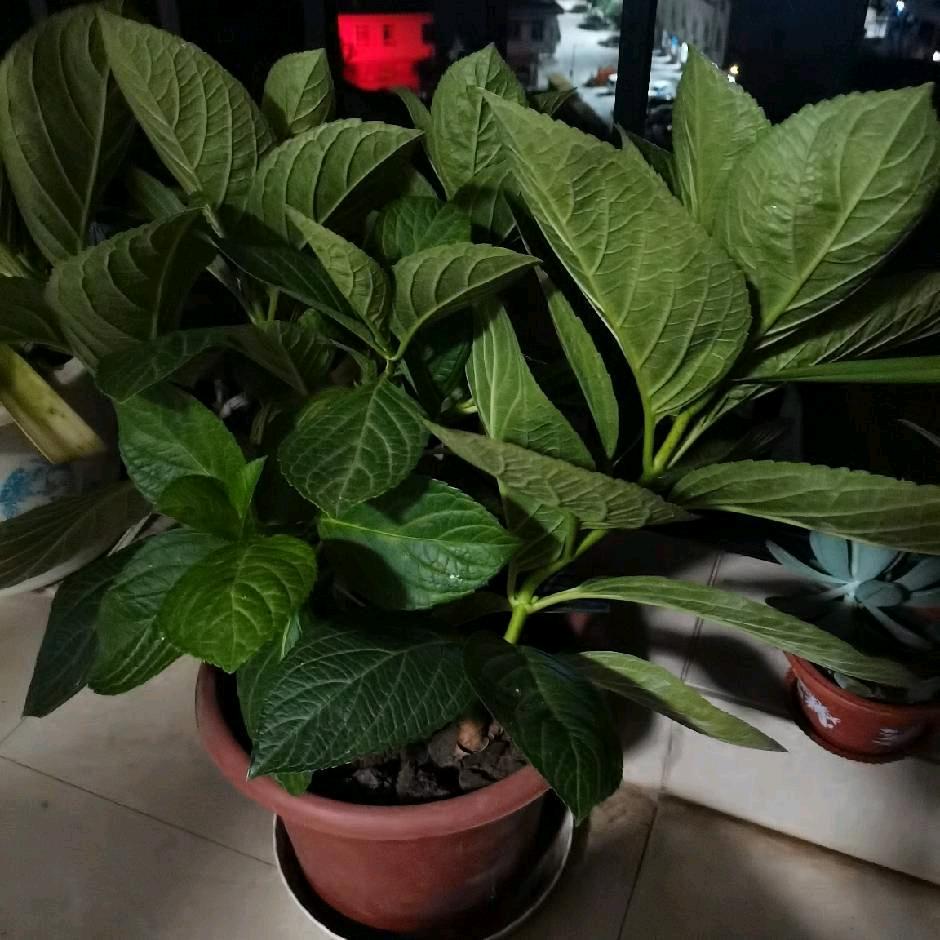 没有免费的午餐。