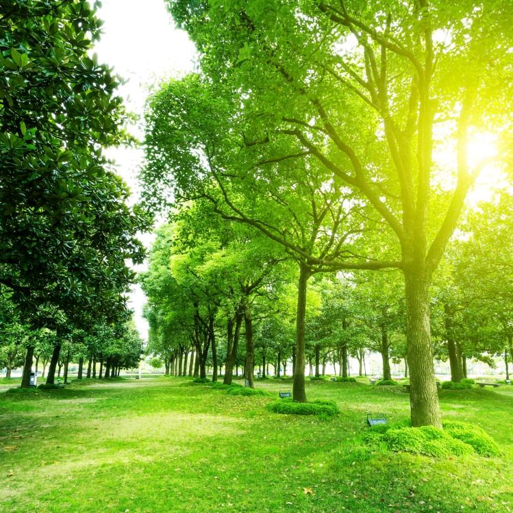 嘉祥房产儒风安鑫店