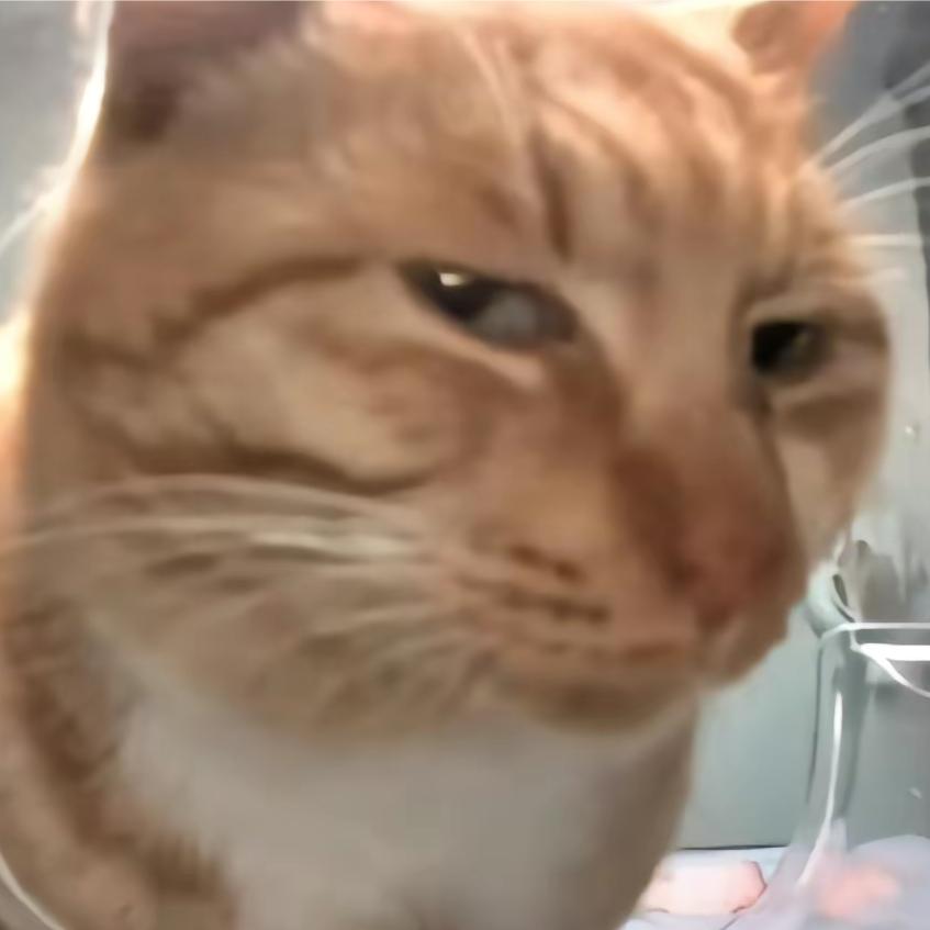 猛扣瞎子那只好眼