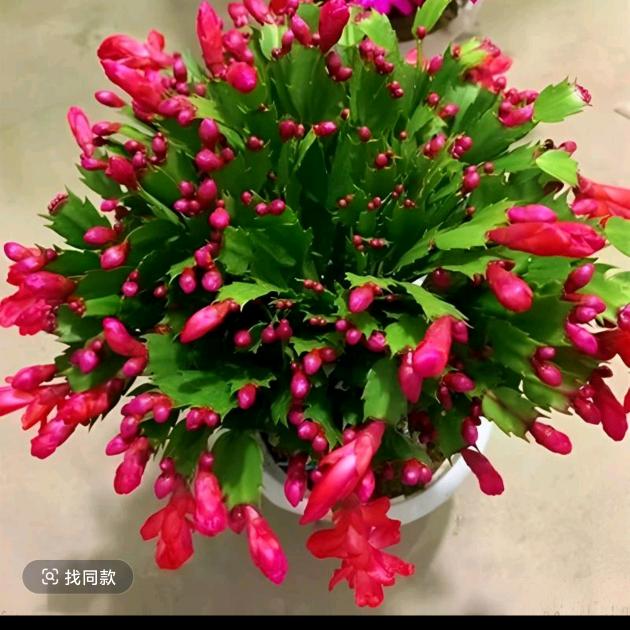 明天更美好