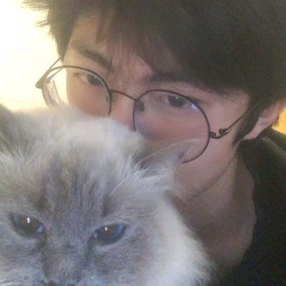 大撕纸游戏解说