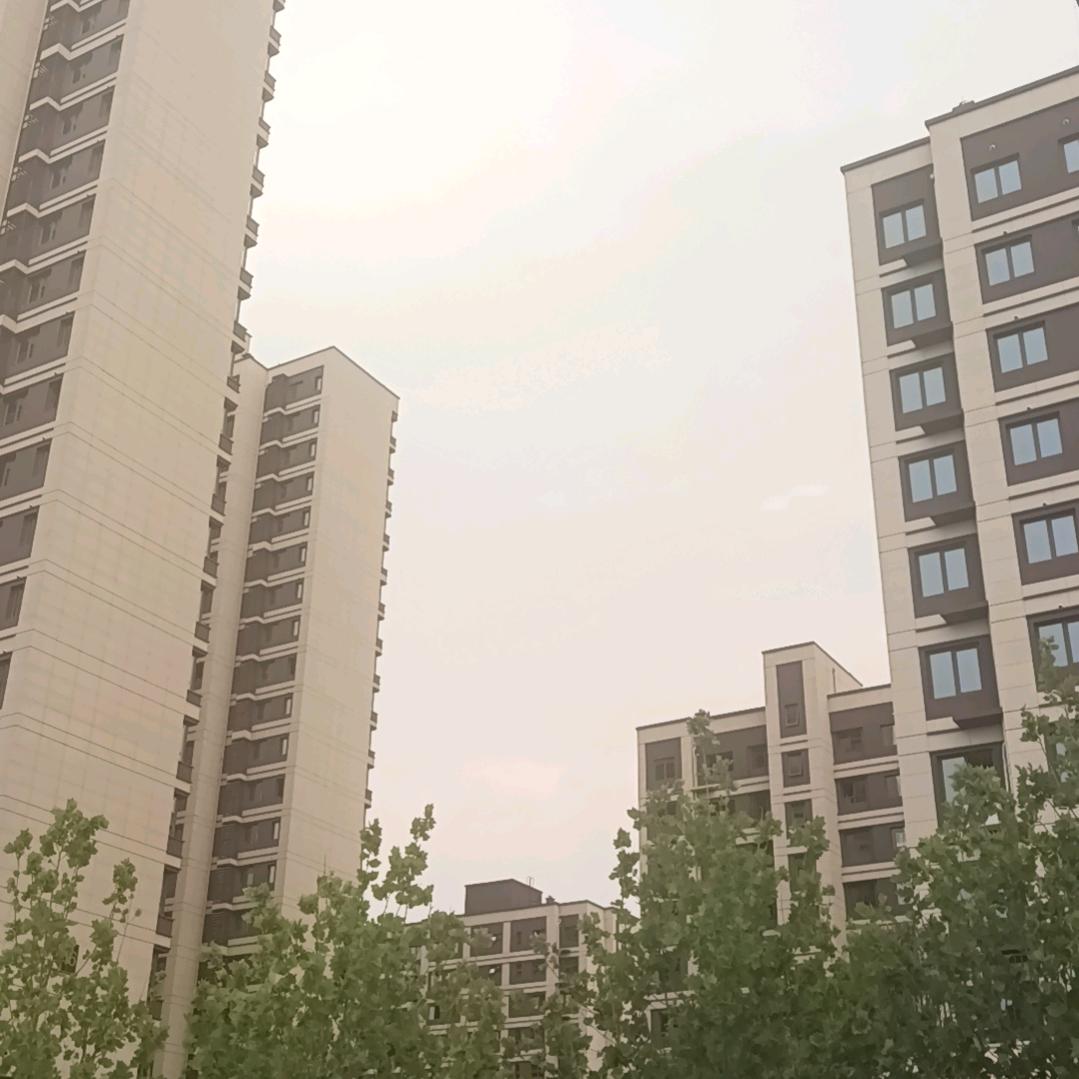 再无风的季节相遇