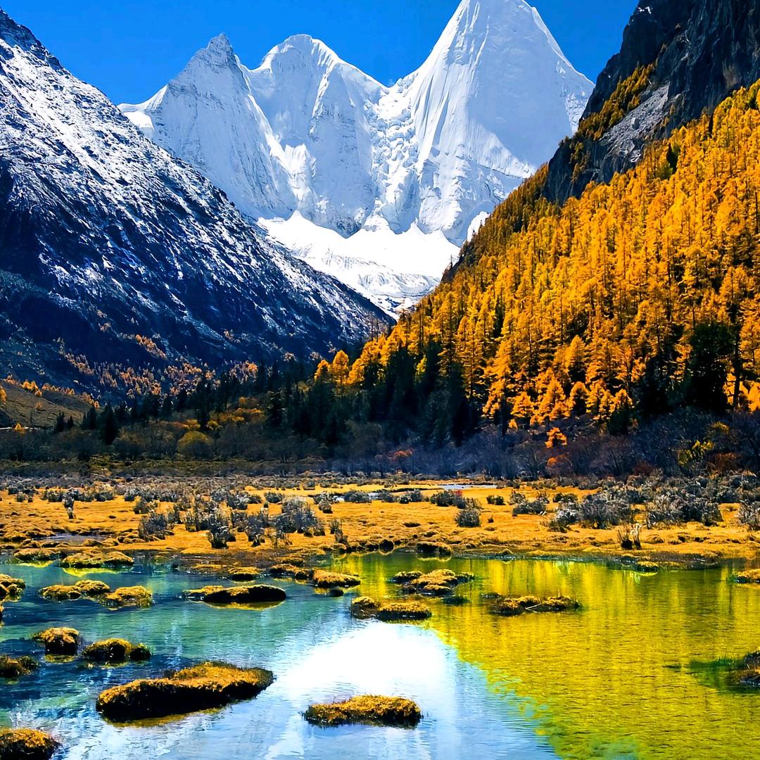 娇娃百货