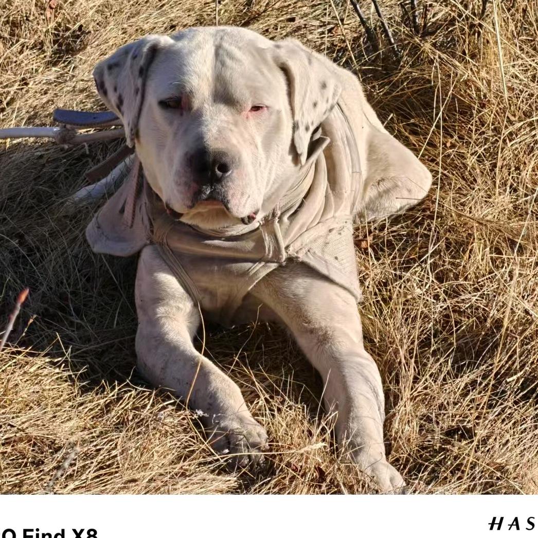 巴中驻松潘护农队（小宝)