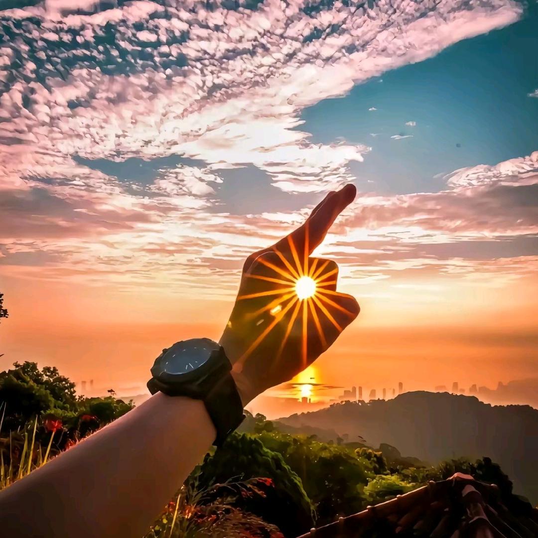 尼是总总是尼简称尼总