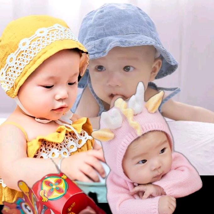 🌺🌺会🌺🌺会🌺🌺