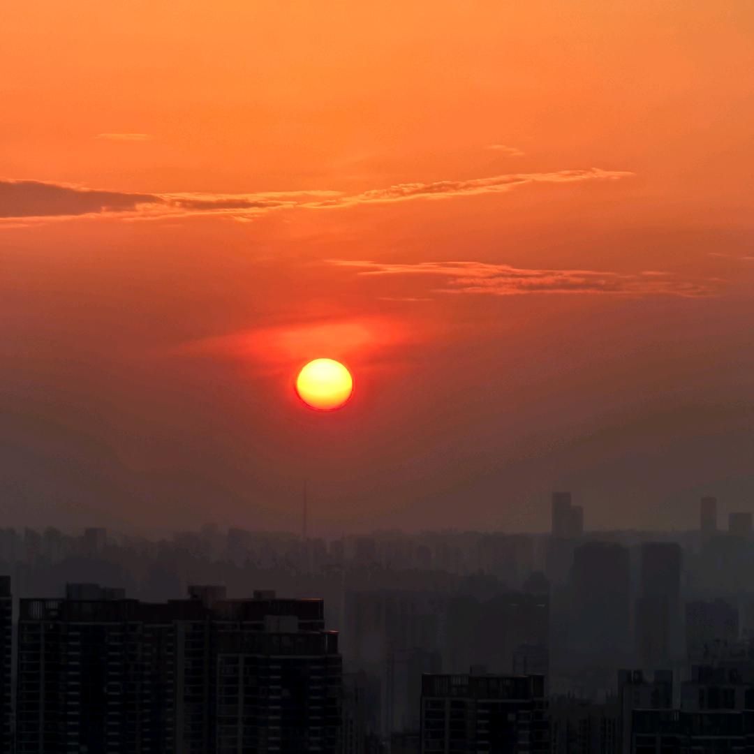 一路向阳