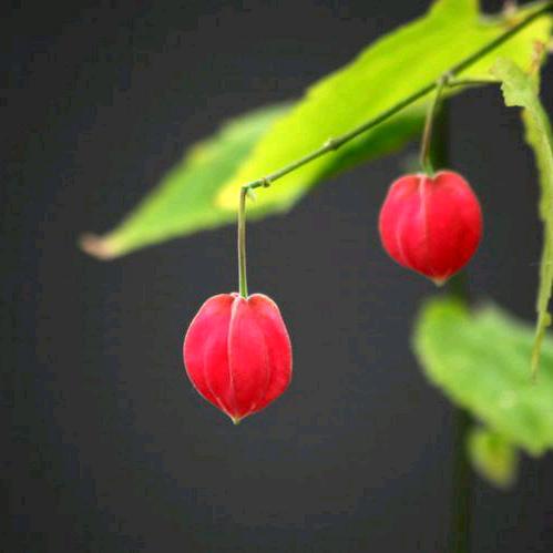 @微风细雨