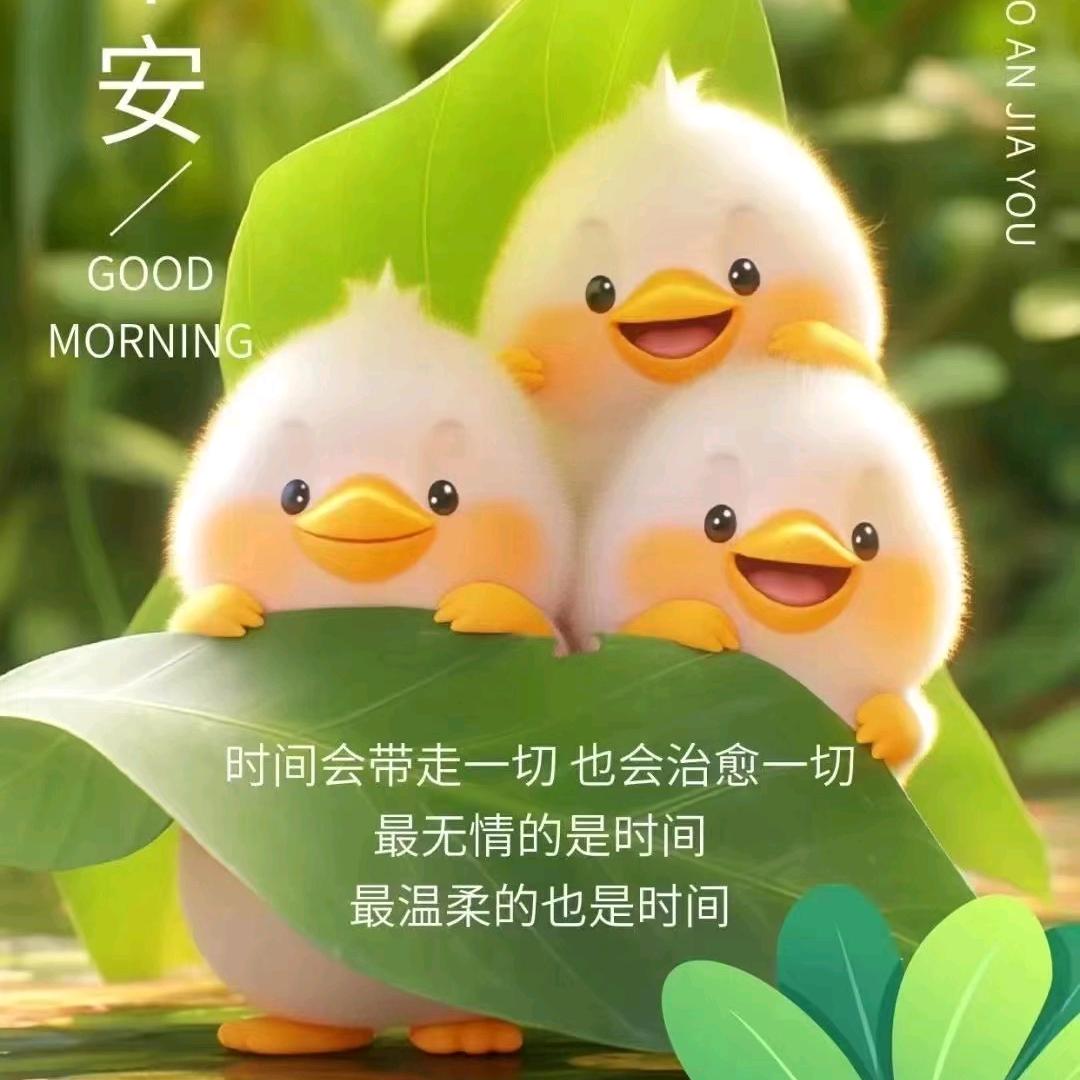 姚美俊
