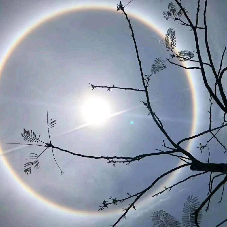 开心每一天