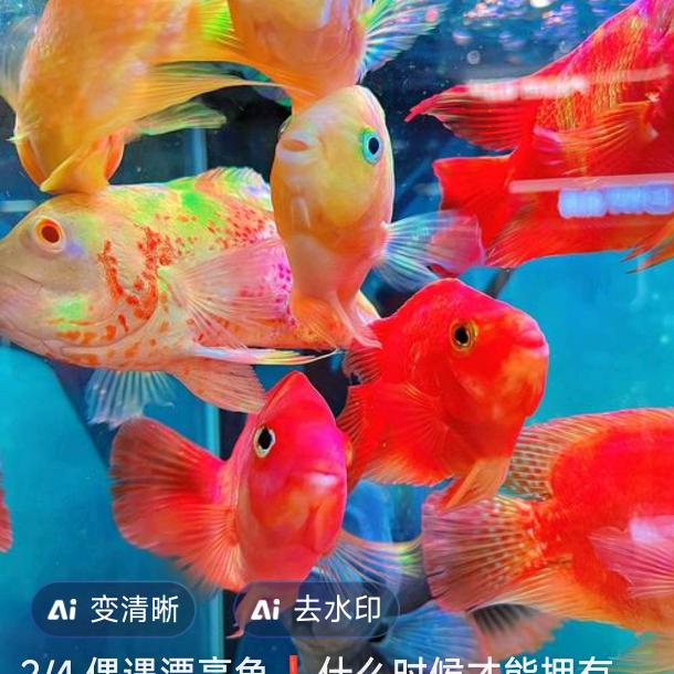 易玄学