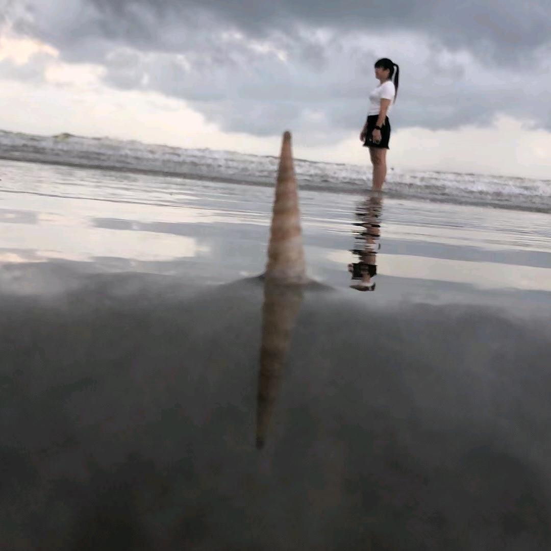扶摇a