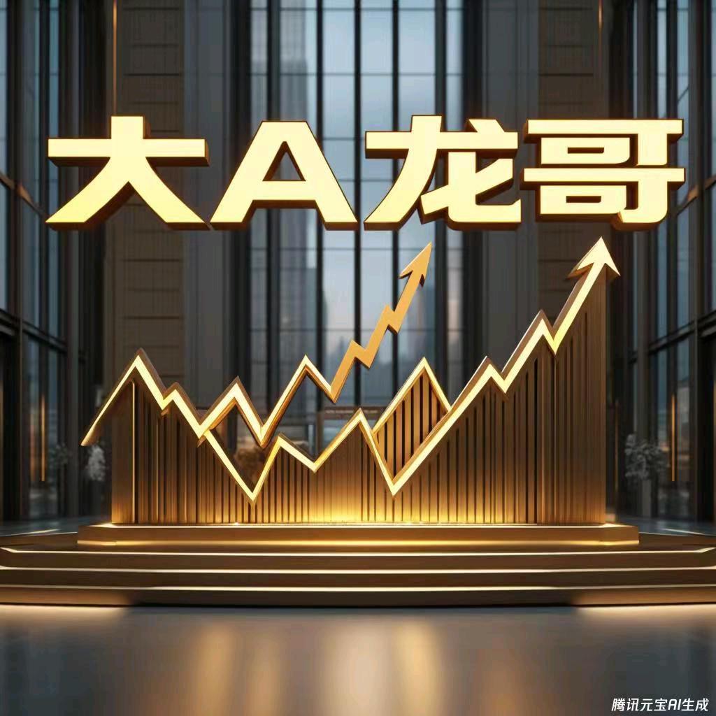 指南针-大A龙哥