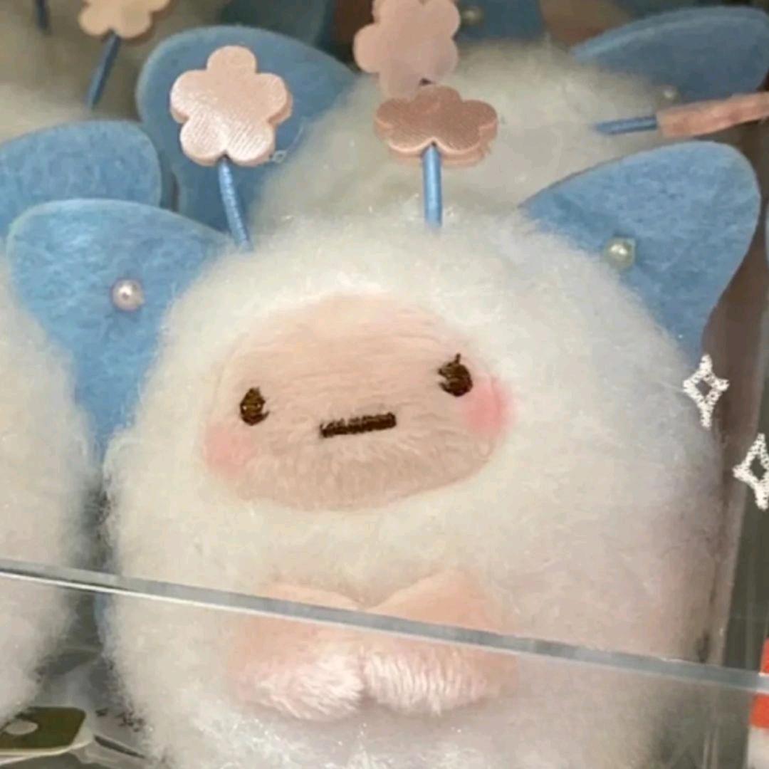 橙橙也是诚诚头像