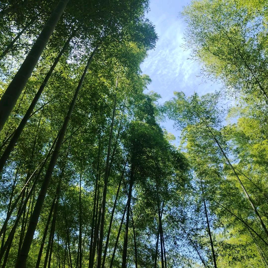 ꧁꫞꯭过往꯭꫞꧂