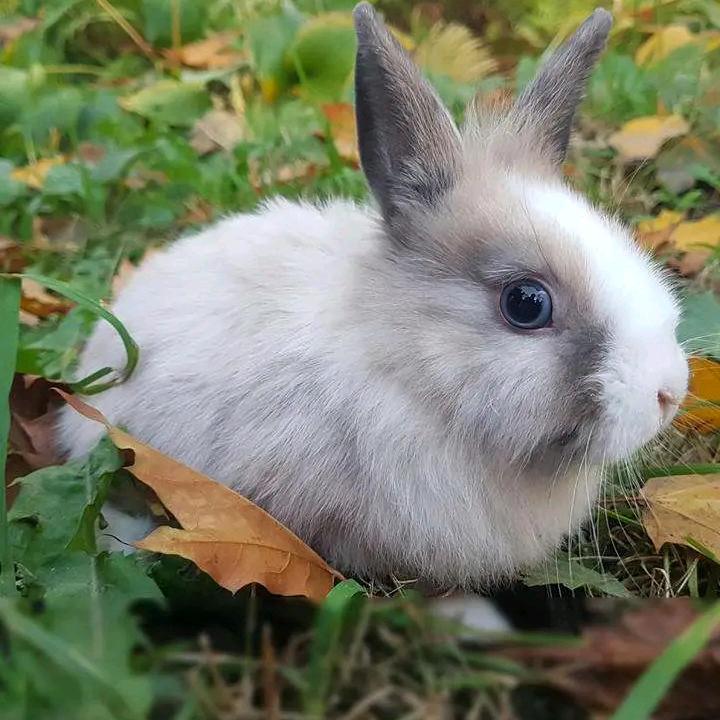 英子💞