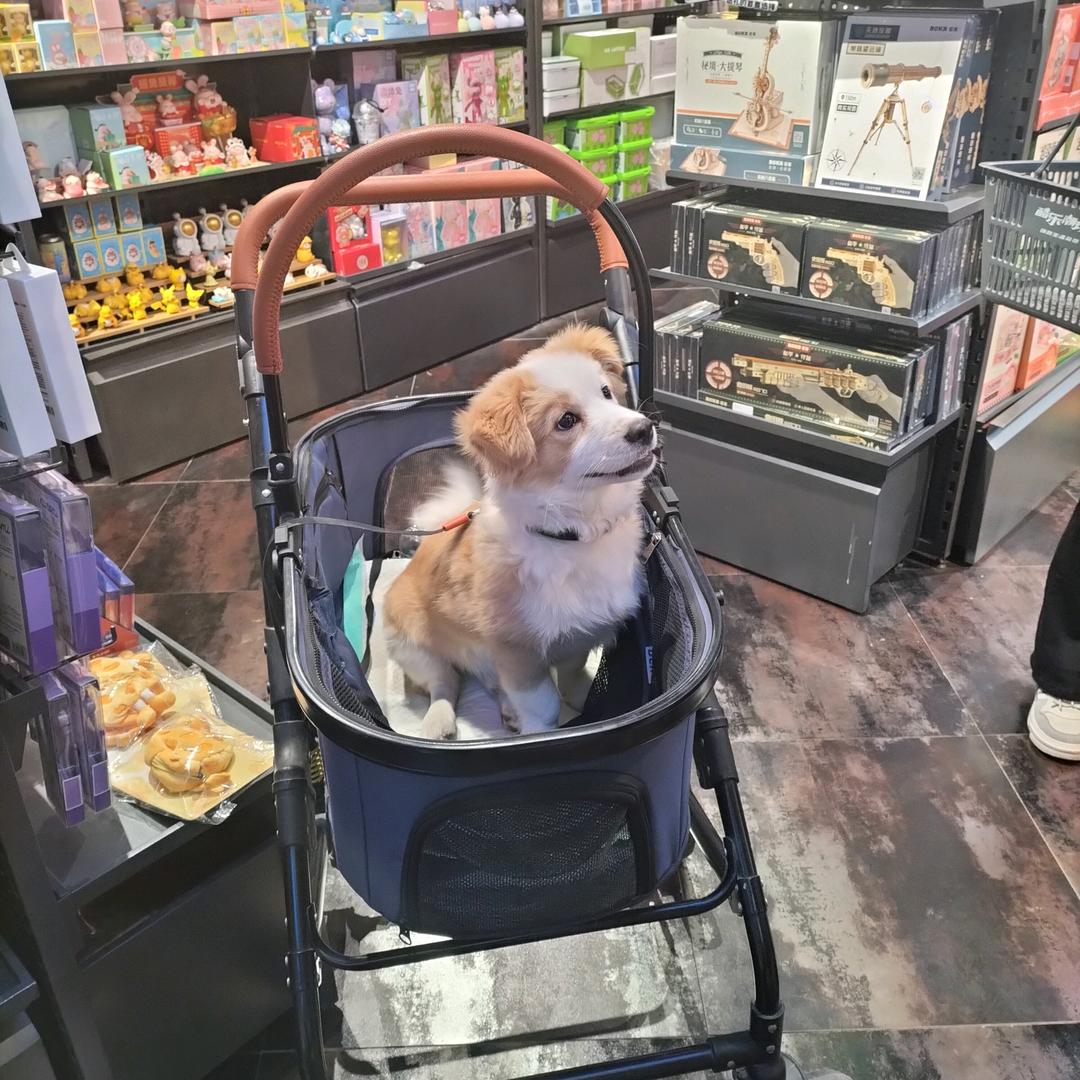 优秀啊